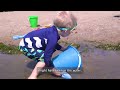 Beach Monitoring