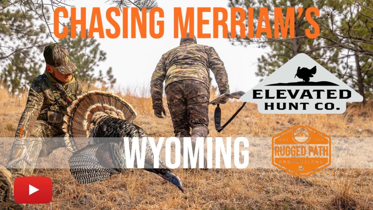 WYOMING TURKEY HUNTING Chasing Merriam's in the Hills YouTube