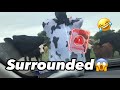 My Mom is a cow!🐄 | Overload | Ep.5