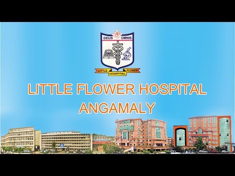 L F Hospital Angamaly Short Review