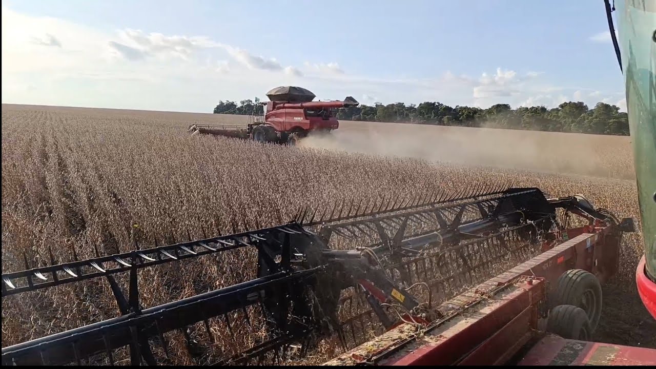 COLHEITA FAZ LIBERDADE 2026