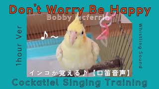 Don’t Worry Be Happy – 1 Hour Whistle Cover for Cockatiel Training 🦜