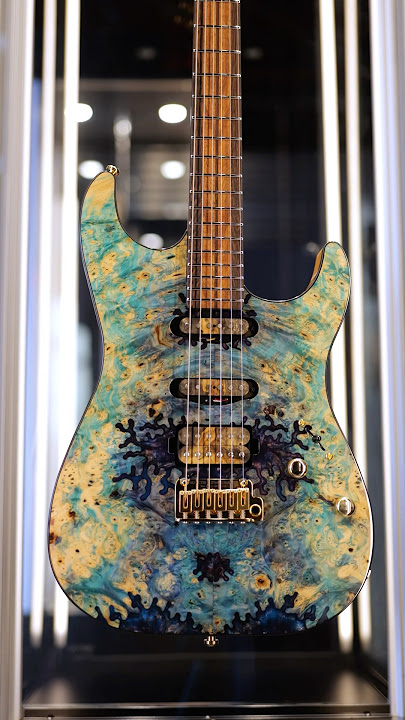 Schecter Custom Shop 🎸 #guitar #guitars #schecterguitars #schecter #guitarist #guitarplayer