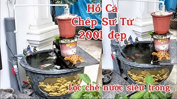 Hồ Cá Chép Sư Tử 200l - Anh Hải Ở Hà Nội Tái Chế Chậu Kiểng Nuôi Cá Chép Sư Tử - Lọc Nước Siêu Trong