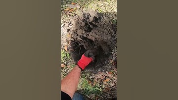 Metal Detecting-1840’s House gives up a Unique Relic !