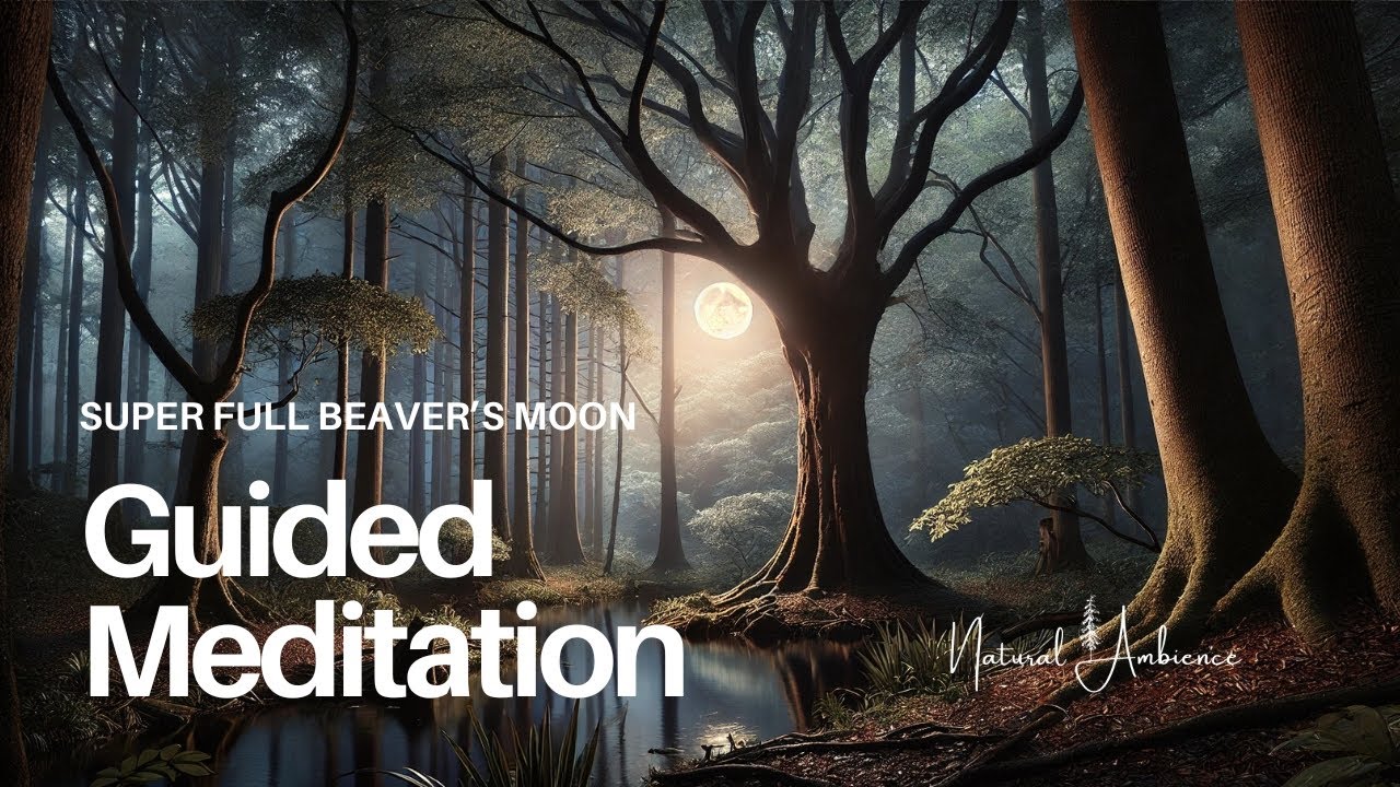 Super Full Beaver Moon in Taurus Meditation | Ground Yourself & Embrace New Abundance