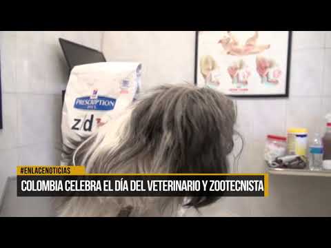 Colombia celebra el día del veterinario y el zootecnista