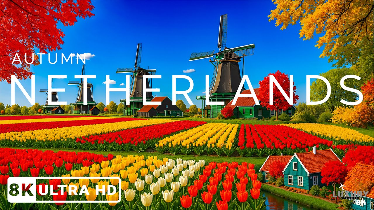 Autumn in the Netherlands 8K UHD 🍂 Discover Golden Forests, Charming Canals And Colorful Landscapes