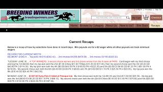 4 TOP WINNERS & 3 2nd choice winners at PARX 6/30/26.  Quick tour of my website.