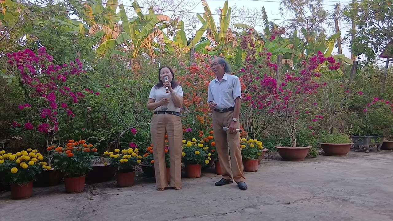 Bến giang đầu Hồng Cẩm Hữu Ngọc trình bày 