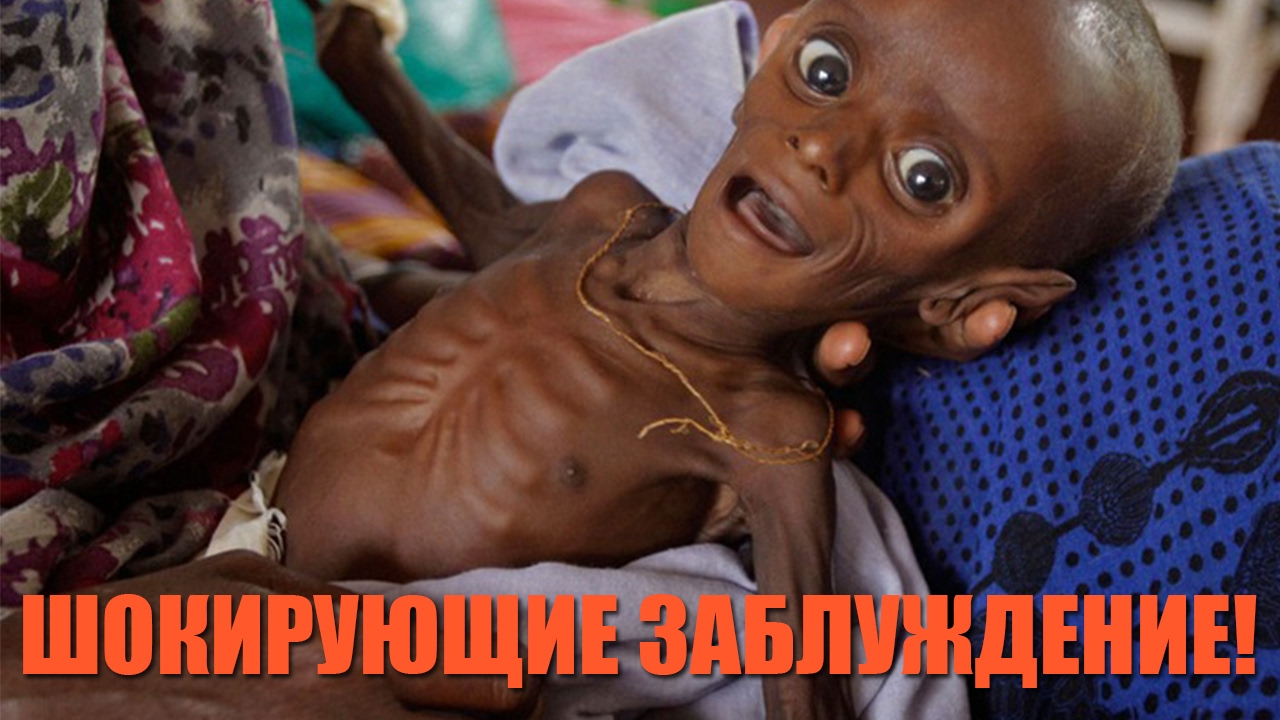 ШОКИРУЮЩИЕ ЗАБЛУЖДЕНИЕ ЧЕЛОВЕЧЕСТВА!