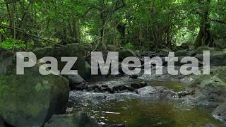 Musica para Curar o Corpo e a Mente | Momento de Relaxar | Sons da Natureza Para Dormir