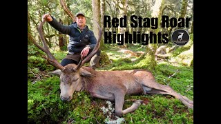 Red Stag Roar, Hunting Highlights