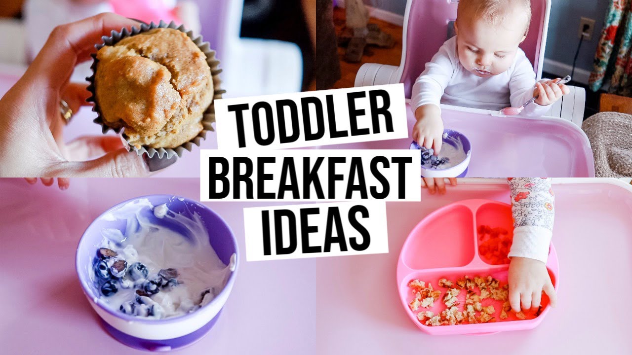 BREAKFAST IDEAS FOR TODDLER (PICKY EATERS) | BREAKFAST IDEAS FOR BABY ...