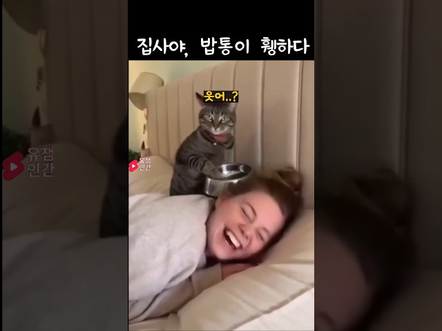 집사야, 밥통이 휑하다