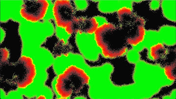 Predator VS Prey! [Cellular Automaton]