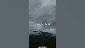 سورة الانعام تلاوة خاشعة 🎧📻🤍 #المنشاوي_رحمه_الله #المنشاوي_قارئ_القلوب