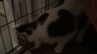 IMG 1056