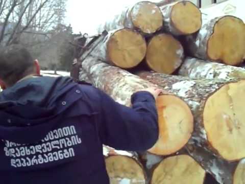 უკანონო სახერხი საამქროები და მოჭრილი ხეები სამცხე-ჯავახეთში