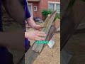 Watch This Roof Transformation! 🏡👀 (Wood Shake to Designer Shingle) #roof #shorts #Texas