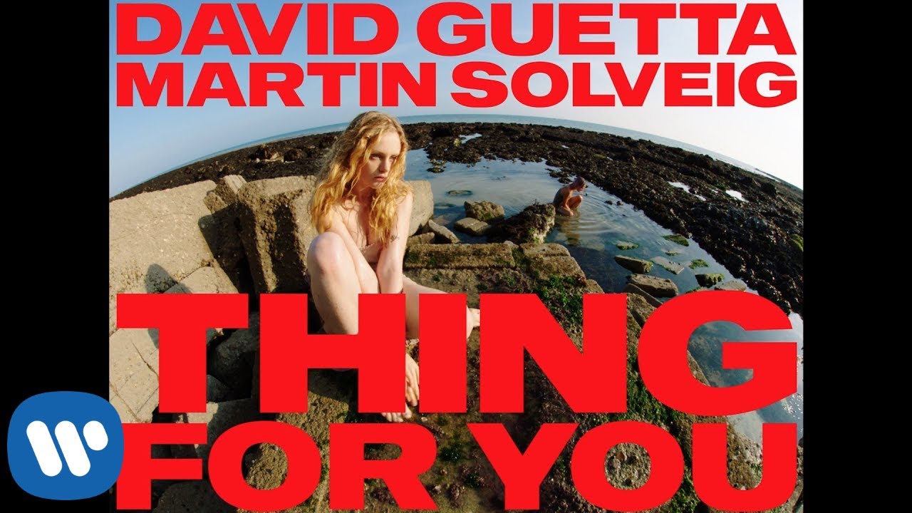David Guetta & Martin Solveig - Thing For You