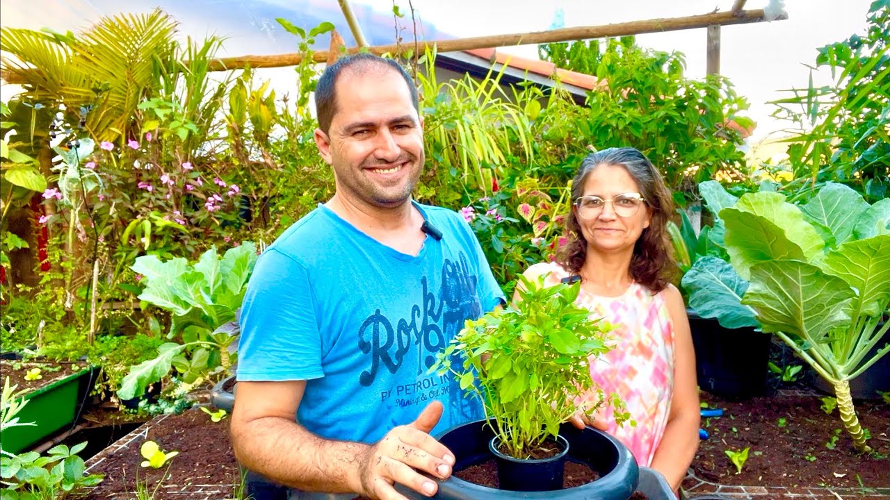 VISITA NA HORTA E PLANTIO DE HORTALIÇAS E CHÁS