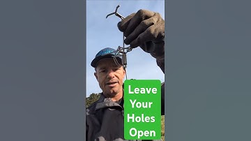 Gopher Trapping at Home? Try leaving your holes open for faster trapping.