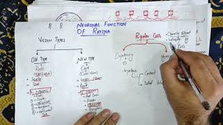 #guyton chapter 51 part 7, Neuronal Function of the retina, Neurotransmitter by Retinal neurons#mbbs Net Worth