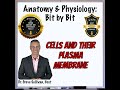 REBOOT: Cells and Their Plasma Membrane: Episode 3