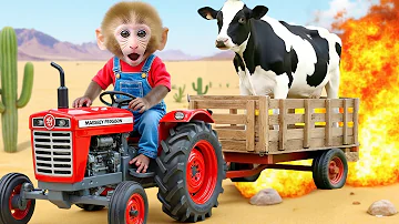 🐒🚜🔥Monkey Nana drives a tractor with the duckling and the puppy but faces a fuel tank fire incident