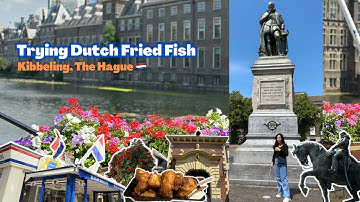 One day in The Hague || Trying Kibbeling Dutch Fried Fish