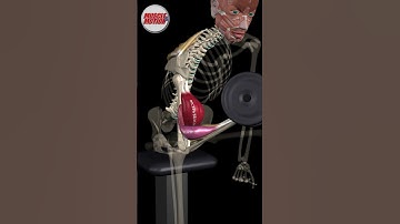 Elevate Your Biceps with Science #FitnessScience