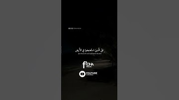 🖤🌱🎧 حالات واتس قرآن |محمد صديق المنشاوي |سورة القصص