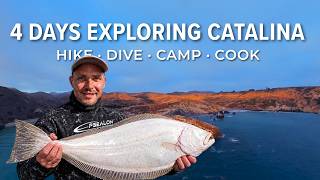 We spent four days Camping and Spearfishing at Catalina | Hike Camp Dive Cook