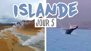 ISLANDE JOUR 5 : LA PLANETE MARS &amp; DES BALEINES A BOSSE !!!!