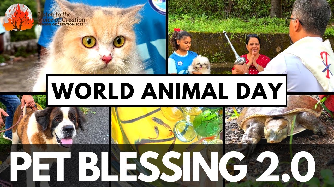 PET BLESSING 2.0 on Season of Creation 2022 & World Animal Day