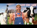 Meet the animals fun educational for kids  families
