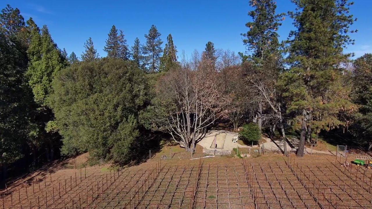 896 Ponderosa Drive, Angwin, CAHowell Mountain AVA Sauvignon