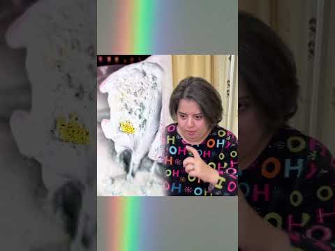 مش دة مش دة    تجربة الكوتة أم عادل أبو عادل تيته كواكب 