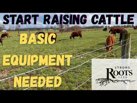 Start Raising Cattle, Basic Equipment Needed