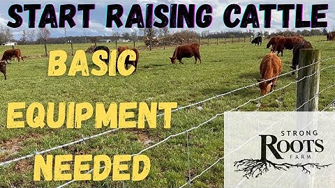 Begin met het fokken van vee, basisuitrusting vereist