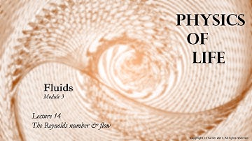 Lecture 8. Introduction to the Reynolds number and flow