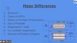Compare and Contrast MHC types - Google Slides