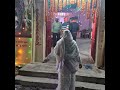 #shivratri
