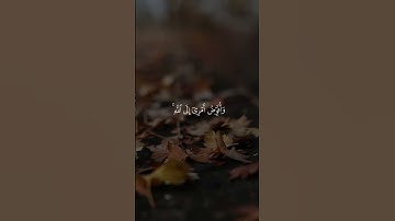 آية من القرآن الكريم تقال عند الكروب