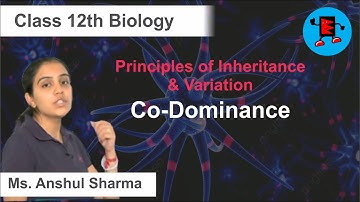 CBSE Class 12 Biology Principles of Inheritance & Variation Co-Dominance |Extraminds
