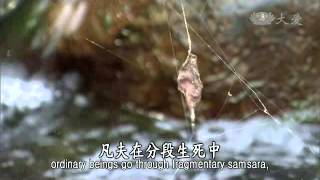 20140217《靜思妙蓮華》大寂定心真如境界