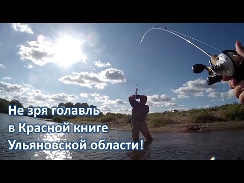 рыбалка на голавля в ульяновской области