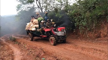 Xe Công Nông 2 Cầu Chở Cà Phê Mùa Lạnh Cuối Năm Ở Tây Nguyên | Wan Ksor