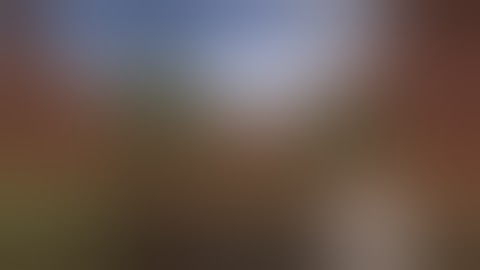 PvPLand | Beating all bots in sumo